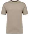 NS330 Native Spirit Unisex Oversized T-Shirt Wet Sand colour image